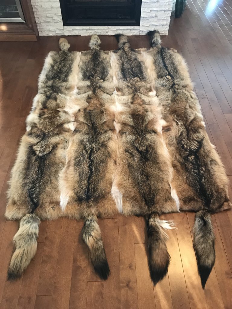 Coyote blanket Gaston Henry Fourrures